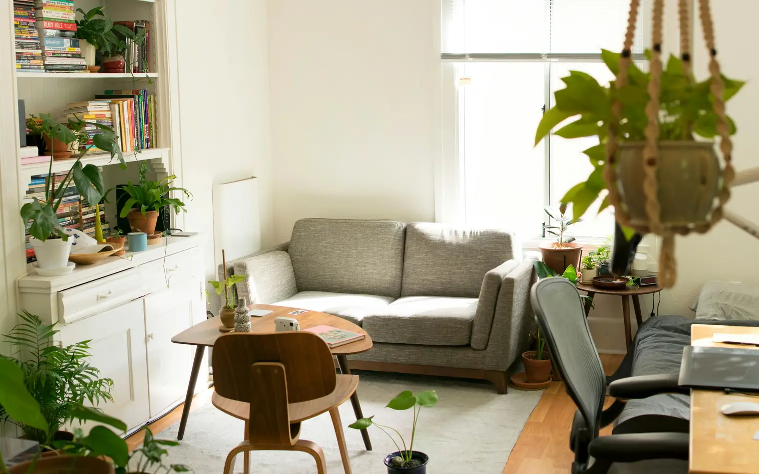 Living de un departamento alquilado con plantas y sofá gris